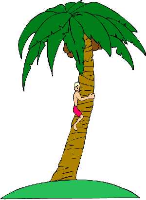 tree clip art. palm tree clipart