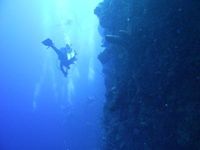 Bloody Bay Wall, Little Cayman, Underwater