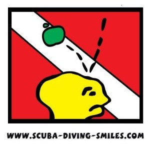 Dive Watch Repair: Do it Yourself? Condensation, Battery Replacement?