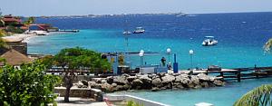 bonaire diving - bari reef dive site 