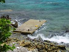 bonaire diving - karpata platform 