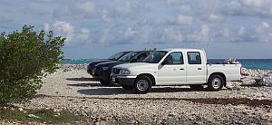 bonaire shore diving 