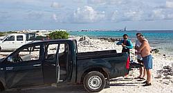 bonaire shore diving 