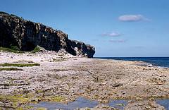 cayman brac diving - bluff  cayman brac diving - bluff