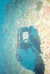 picture of scuba divers