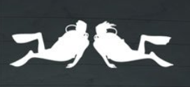 dive sticker for couples or just her