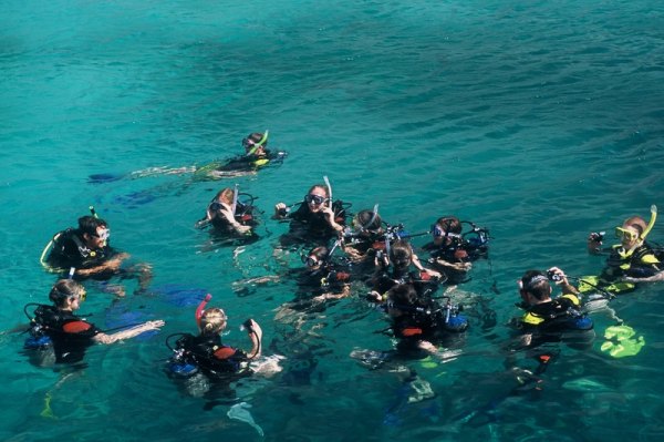 Scuba diving class wearing wetsuits Scuba diving class wearing wetsuits