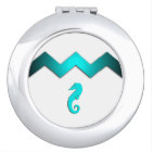 Seahorse compact mirror