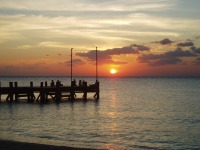 night scuba diving tips night scuba diving tips