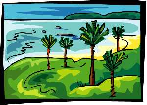 Palm tree clipart on beach scen Palm tree clipart on beach scen