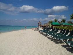 scuba dive job opportunities