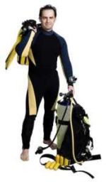 scuba dive jobs scuba dive jobs