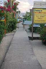 scuba diving belize placencia - sidewalk scuba diving belize placencia - sidewalk