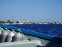 scuba diving bonaire