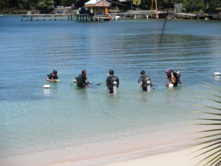 Scuba diving certification class in Roatan