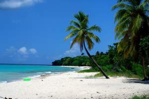 St. Croix scuba diving