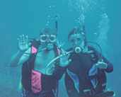 picture of scuba divers picture of scuba divers