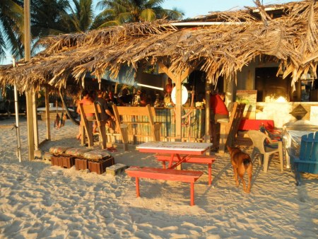 the pink seahorse tiki bar on roatan 