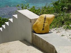 Bonaire diving - Karpata dive site 