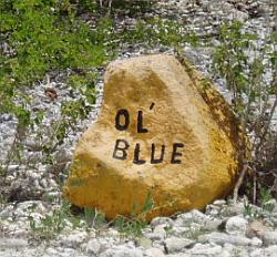 Bonaire diving - 'ol blue dive site 