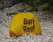 bonaire diving - bari reef dive site 