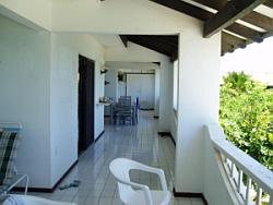 scuba diving bonaire